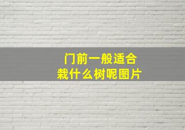 门前一般适合栽什么树呢图片