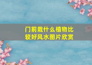 门前栽什么植物比较好风水图片欣赏