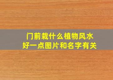 门前栽什么植物风水好一点图片和名字有关