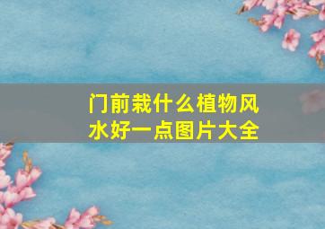 门前栽什么植物风水好一点图片大全