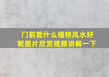 门前栽什么植物风水好呢图片欣赏视频讲解一下