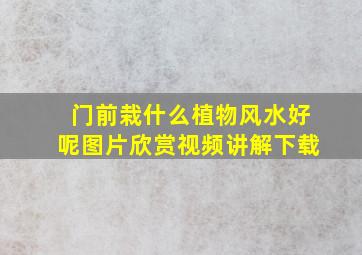 门前栽什么植物风水好呢图片欣赏视频讲解下载