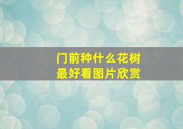 门前种什么花树最好看图片欣赏