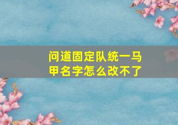 问道固定队统一马甲名字怎么改不了