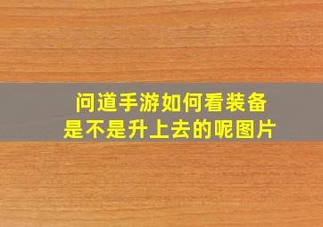 问道手游如何看装备是不是升上去的呢图片