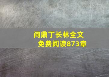 问鼎丁长林全文免费阅读873章