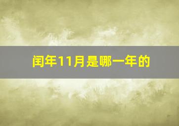 闰年11月是哪一年的