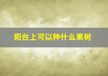 阳台上可以种什么果树