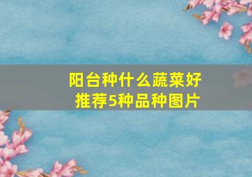 阳台种什么蔬菜好推荐5种品种图片