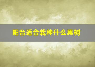 阳台适合栽种什么果树