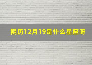 阴历12月19是什么星座呀