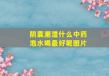 阴囊潮湿什么中药泡水喝最好呢图片