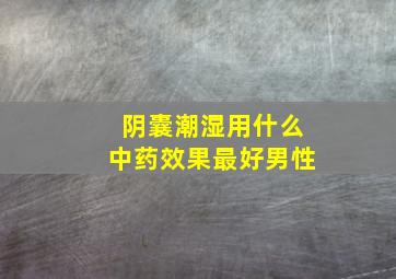 阴囊潮湿用什么中药效果最好男性