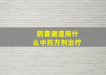 阴囊潮湿用什么中药方剂治疗