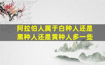 阿拉伯人属于白种人还是黑种人还是黄种人多一些