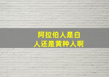 阿拉伯人是白人还是黄种人啊