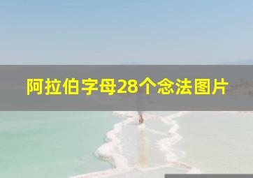 阿拉伯字母28个念法图片