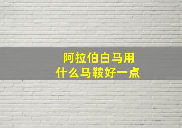 阿拉伯白马用什么马鞍好一点