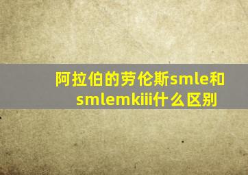 阿拉伯的劳伦斯smle和smlemkiii什么区别