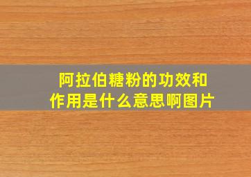 阿拉伯糖粉的功效和作用是什么意思啊图片