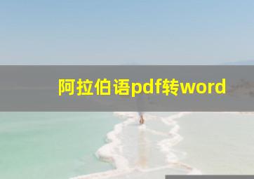 阿拉伯语pdf转word