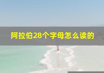 阿拉伯28个字母怎么读的