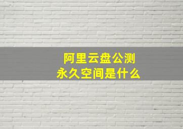 阿里云盘公测永久空间是什么