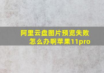 阿里云盘图片预览失败怎么办啊苹果11pro