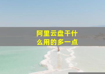 阿里云盘干什么用的多一点