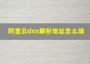 阿里云dns解析地址怎么填