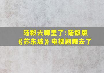 陆毅去哪里了:陆毅版《苏东坡》电视剧哪去了