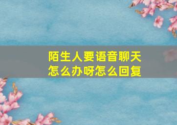 陌生人要语音聊天怎么办呀怎么回复