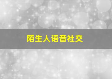 陌生人语音社交