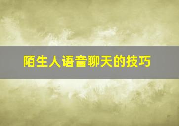 陌生人语音聊天的技巧