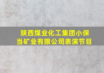 陕西煤业化工集团小保当矿业有限公司表演节目