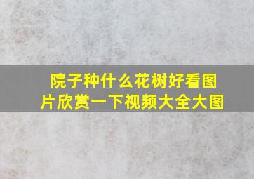 院子种什么花树好看图片欣赏一下视频大全大图