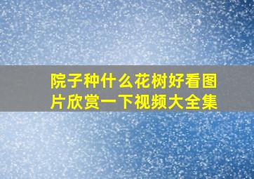 院子种什么花树好看图片欣赏一下视频大全集