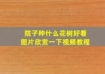 院子种什么花树好看图片欣赏一下视频教程