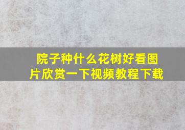 院子种什么花树好看图片欣赏一下视频教程下载