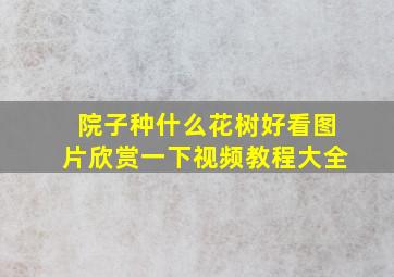 院子种什么花树好看图片欣赏一下视频教程大全