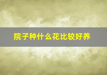 院子种什么花比较好养