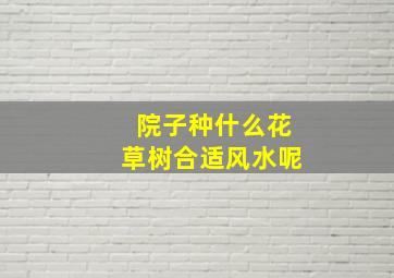 院子种什么花草树合适风水呢