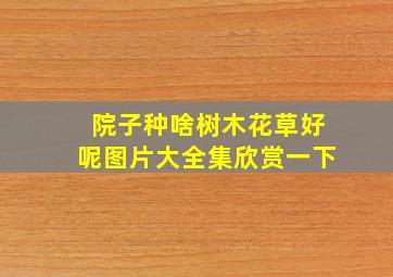 院子种啥树木花草好呢图片大全集欣赏一下