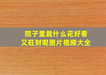 院子里栽什么花好看又旺财呢图片视频大全