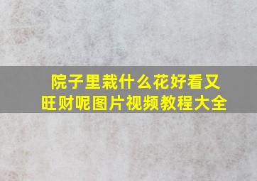 院子里栽什么花好看又旺财呢图片视频教程大全