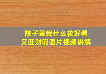 院子里栽什么花好看又旺财呢图片视频讲解