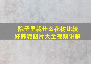 院子里栽什么花树比较好养呢图片大全视频讲解