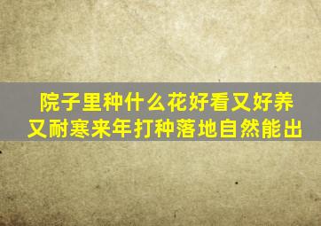 院子里种什么花好看又好养又耐寒来年打种落地自然能出