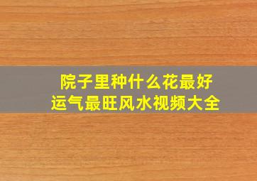 院子里种什么花最好运气最旺风水视频大全