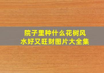 院子里种什么花树风水好又旺财图片大全集